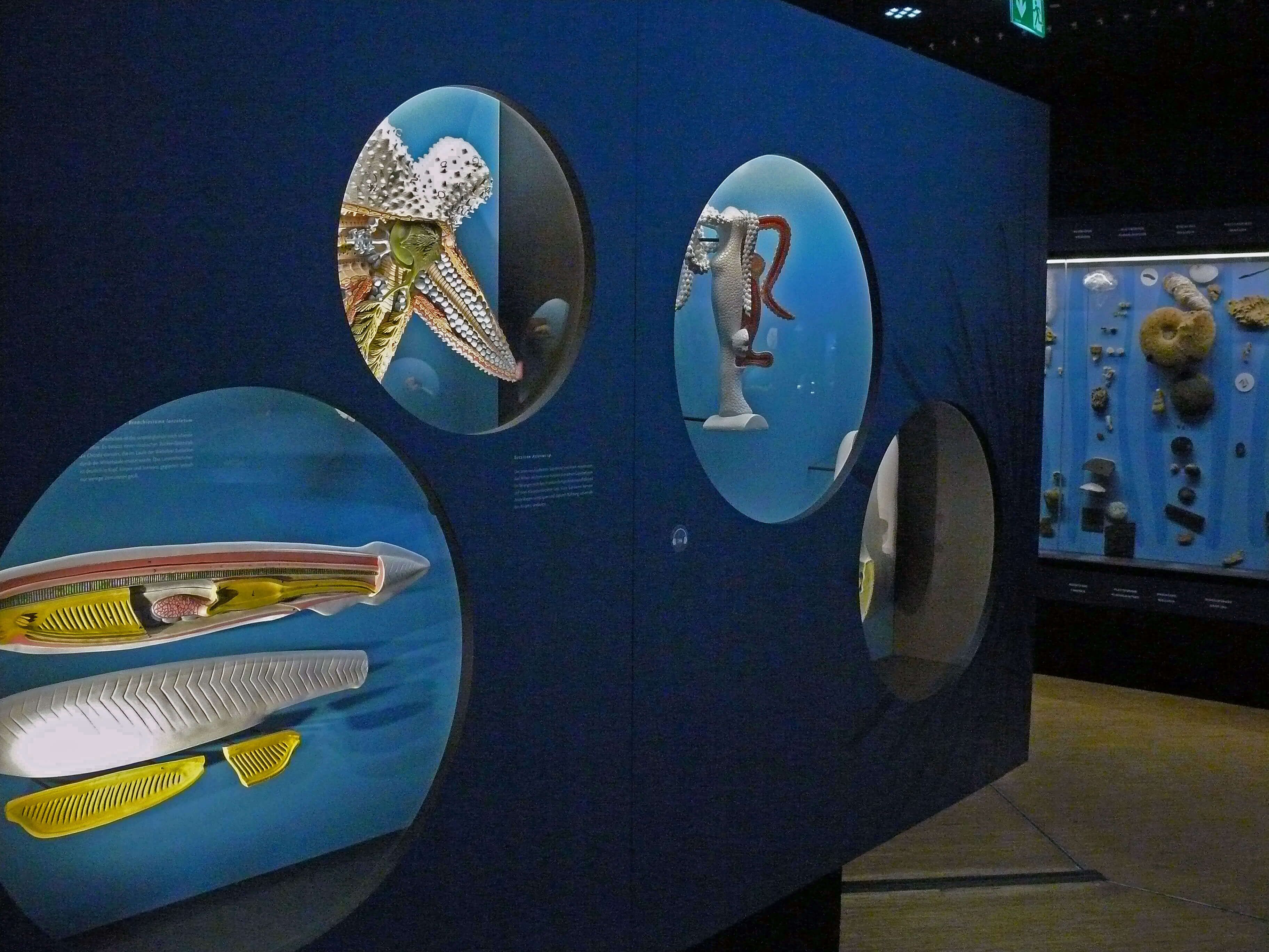 ETUF Mitglieder besuchen den Aqua-Zoo in Düsseldorf.