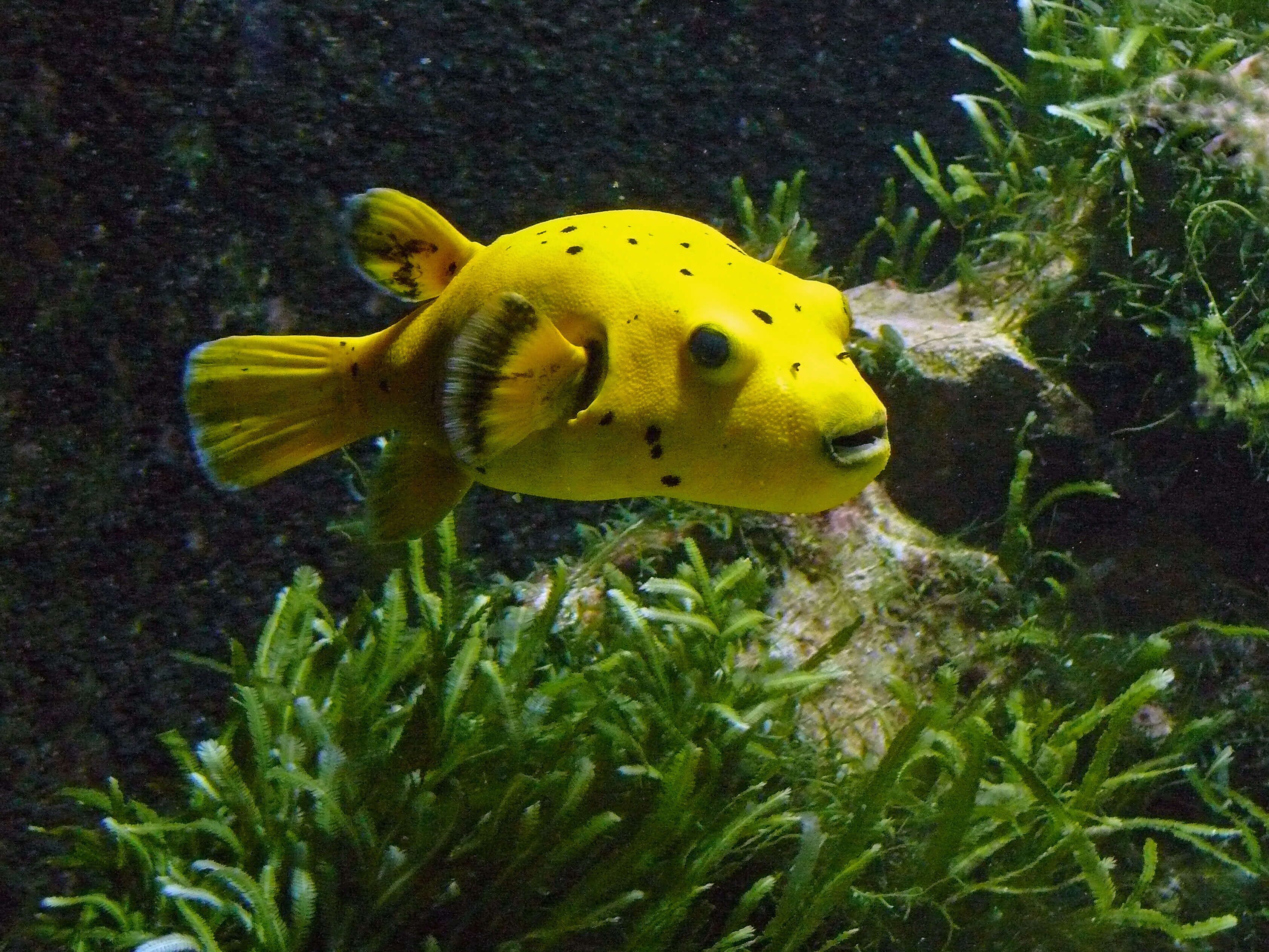 ETUF Mitglieder besuchen den Aqua-Zoo in Düsseldorf.