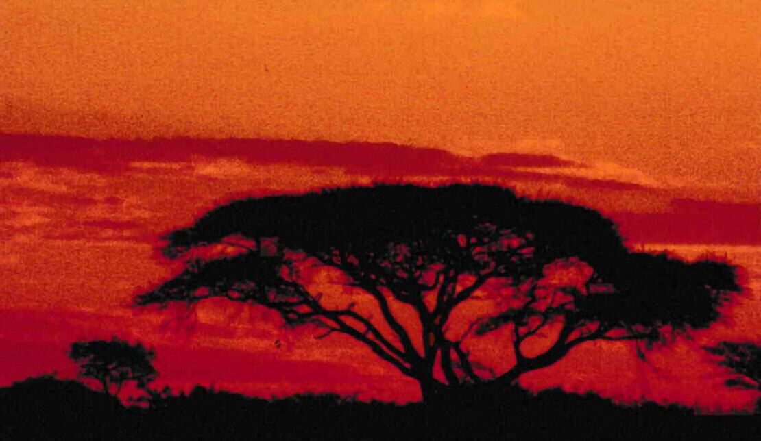 ETUF Vortag Werner Kettler : Das südliche Afrika